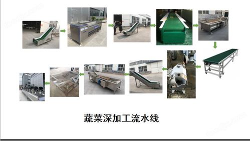 土豆毛辊清洗机 果蔬喷淋式加工流水线